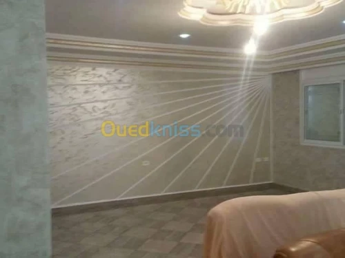 placoplatre /peinture 