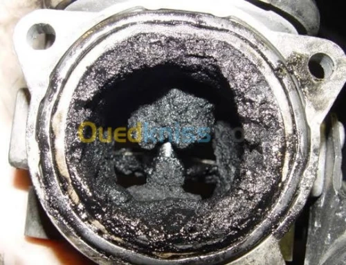 Reparation Systeme Adblue / FAP /EGR