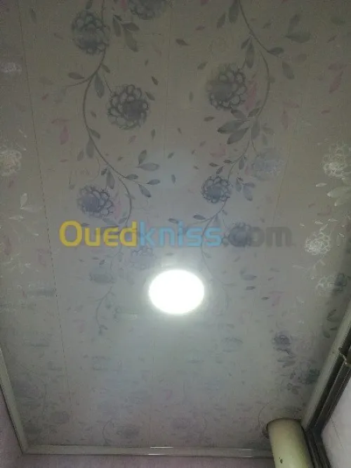 Faux plafonds en pvc