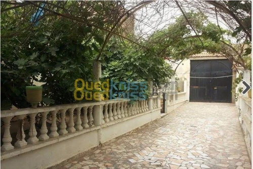 Vente Villa Oran Hassi ben okba