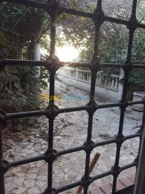 Vente Villa Oran Hassi ben okba