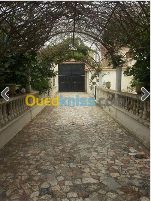 Vente Villa Oran Hassi ben okba