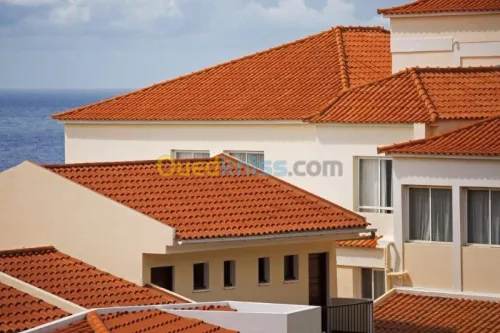 Toiture - Tuile - Charpente en Bois