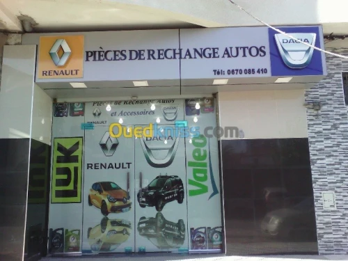 pieces de rechange renault origine 