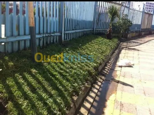Aménagement d'espaces verts