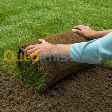 Aménagement des espaces verts