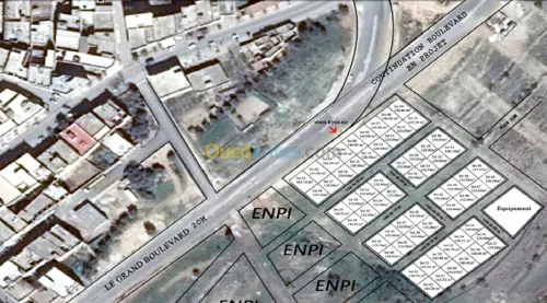 Vente Terrain Tlemcen Souahlia