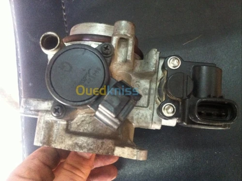 Papion charad sirion terios hilux d4d