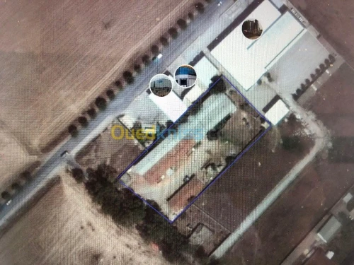 Vente Terrain Annaba Ain berda