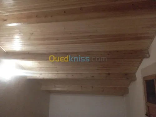 charpente en boi  professionnelle
