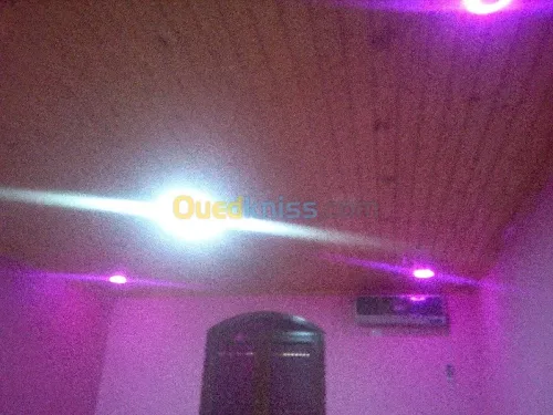 charpente en boi  professionnelle