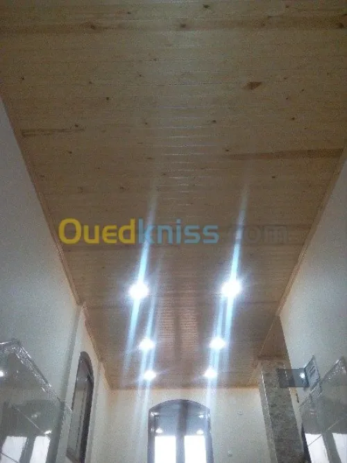 charpente en boi  professionnelle