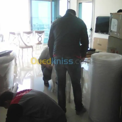 DÉMÉNAGEMENT_TRANSPORT_MANUTENTION