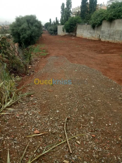 Vente Terrain Alger Saoula