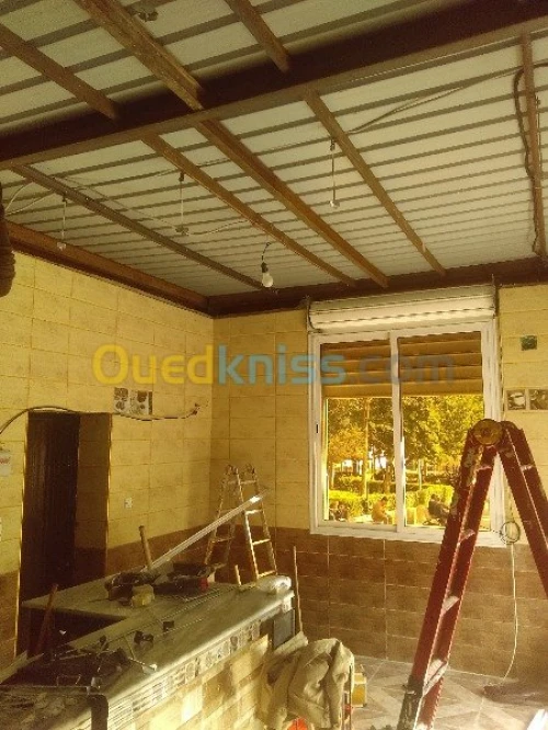 décoration , peinture , placo , plafon