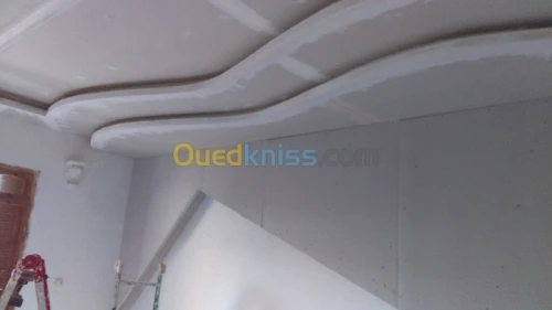 décoration , peinture , placo , plafon