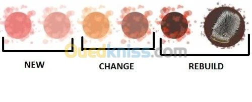 vidange boite vitesse automatique