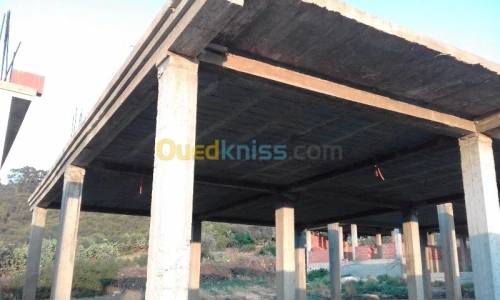 Vente Carcasse El taref Asfour