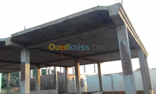 Vente Carcasse El taref Asfour