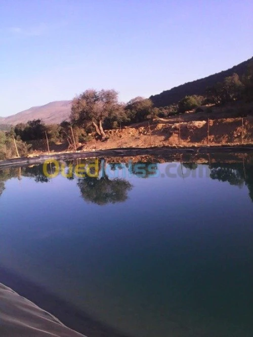 geomembrane