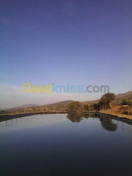 geomembrane