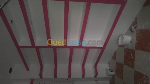 FOURNITURE ET POSE DE PLACO PLATRE ET 