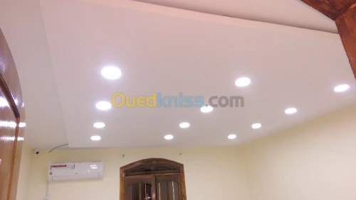 FOURNITURE ET POSE DE PLACO PLATRE ET 