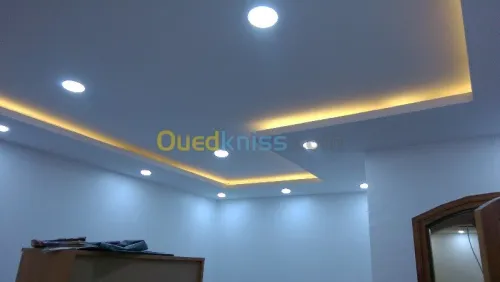 FOURNITURE ET POSE DE PLACO PLATRE ET 