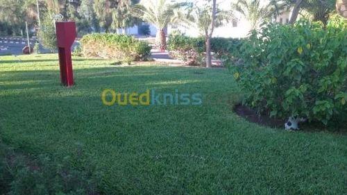 travault jardinage