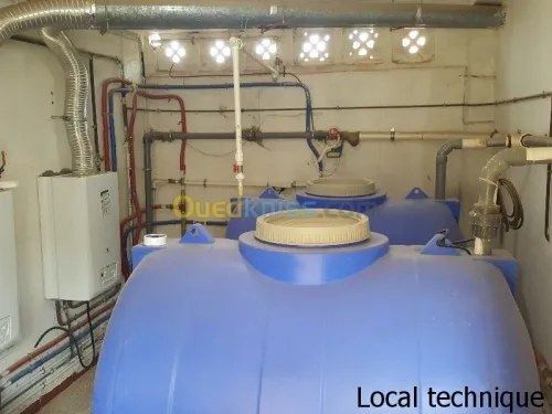 Vente Villa Ain defla Miliana