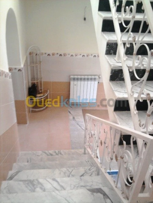 Vente Villa Ain defla Miliana