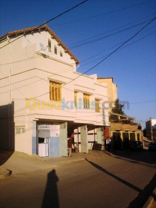 Vente Villa Ain defla Miliana