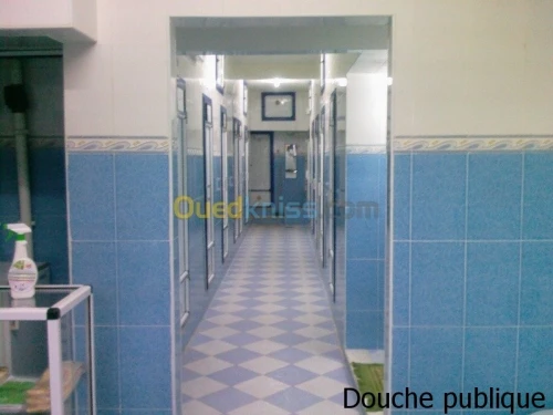 Vente Villa Ain defla Miliana