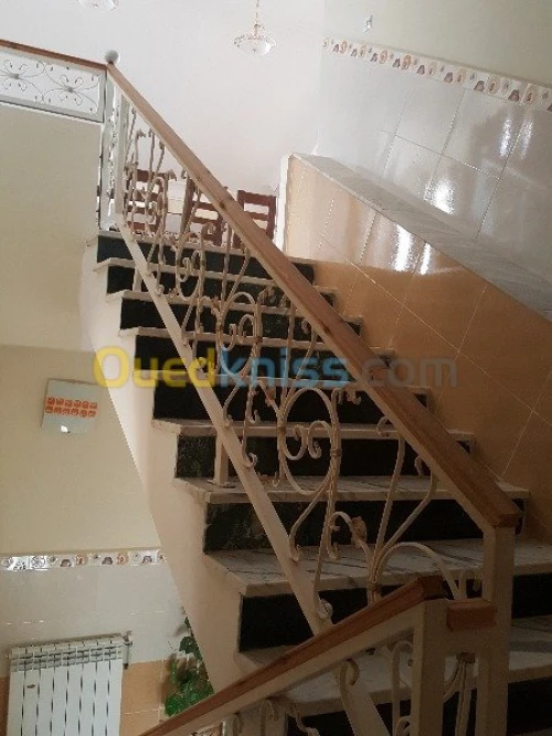 Vente Villa Ain defla Miliana