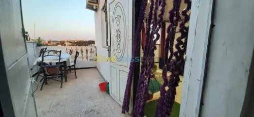 Location Appartement F1 Ain temouchent Ain temouchent