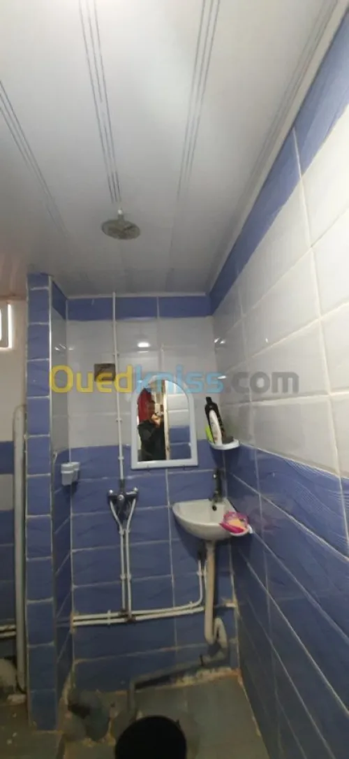 Location Appartement F1 Ain temouchent Ain temouchent