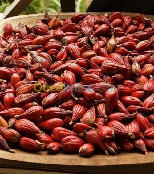 VENTE ET ACHAT  DES GRAINES ET PLANTES