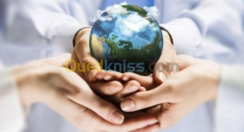 Consulting Environnement