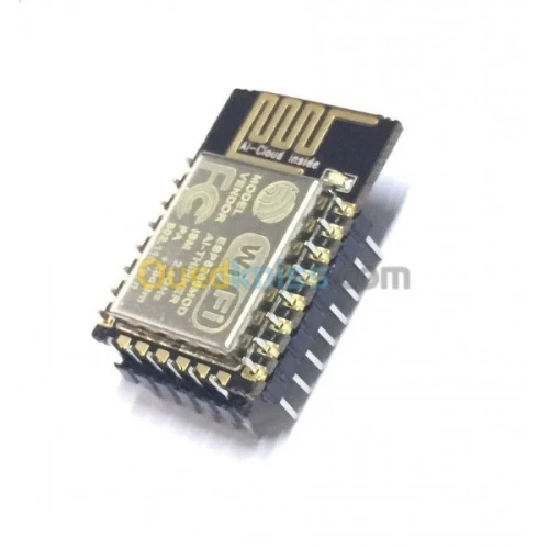 le module ESP-12E plus adaptateur 