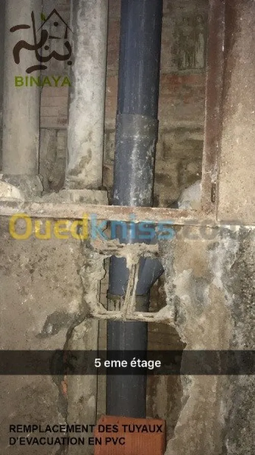 TCE