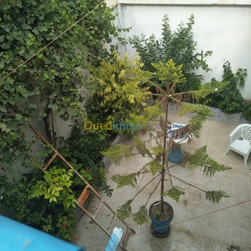 Location Villa Oum el bouaghi Oum el bouaghi