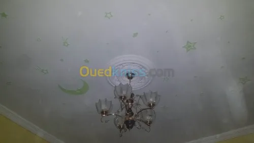 placoplatre, faux plafond  et pinture 