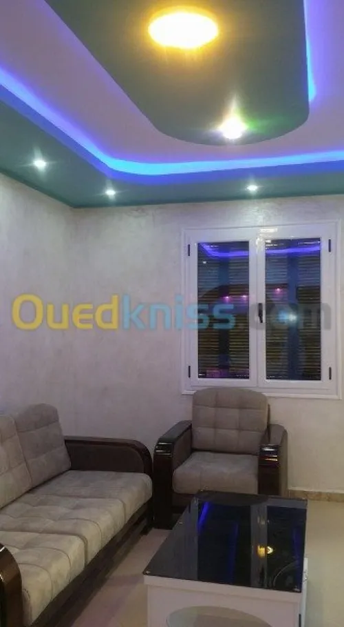 placoplatre, faux plafond  et pinture 