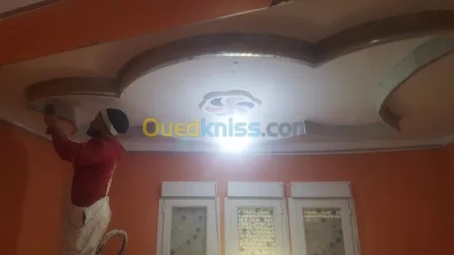 placoplatre, faux plafond  et pinture 