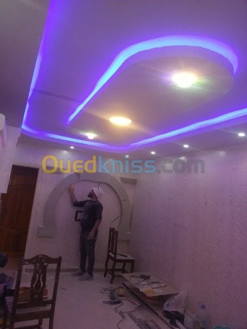 placoplatre, faux plafond  et pinture 