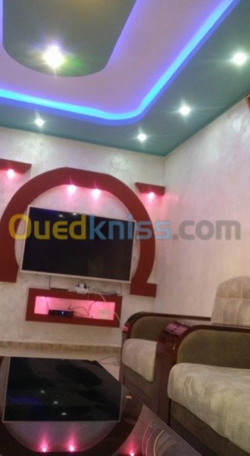 placoplatre, faux plafond  et pinture 