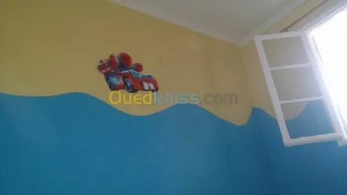 placoplatre, faux plafond  et pinture 
