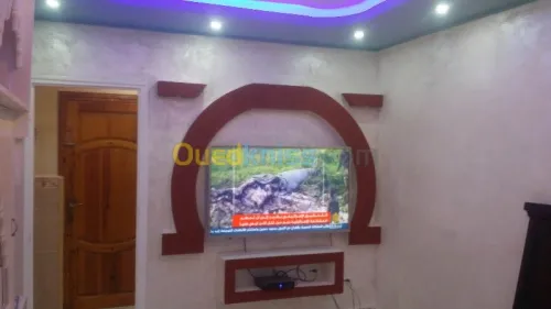 placoplatre, faux plafond  et pinture 