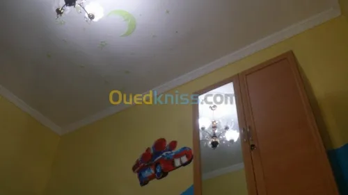 placoplatre, faux plafond  et pinture 
