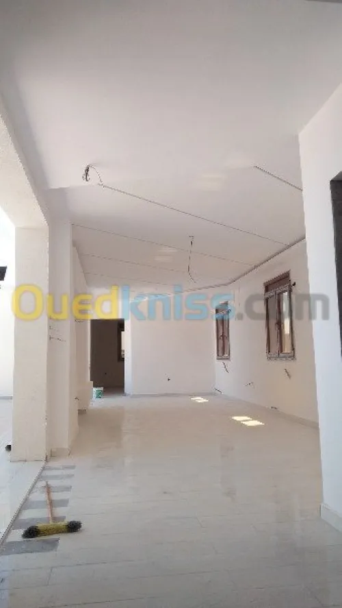 Plafond décoratif artistique,isolatioé